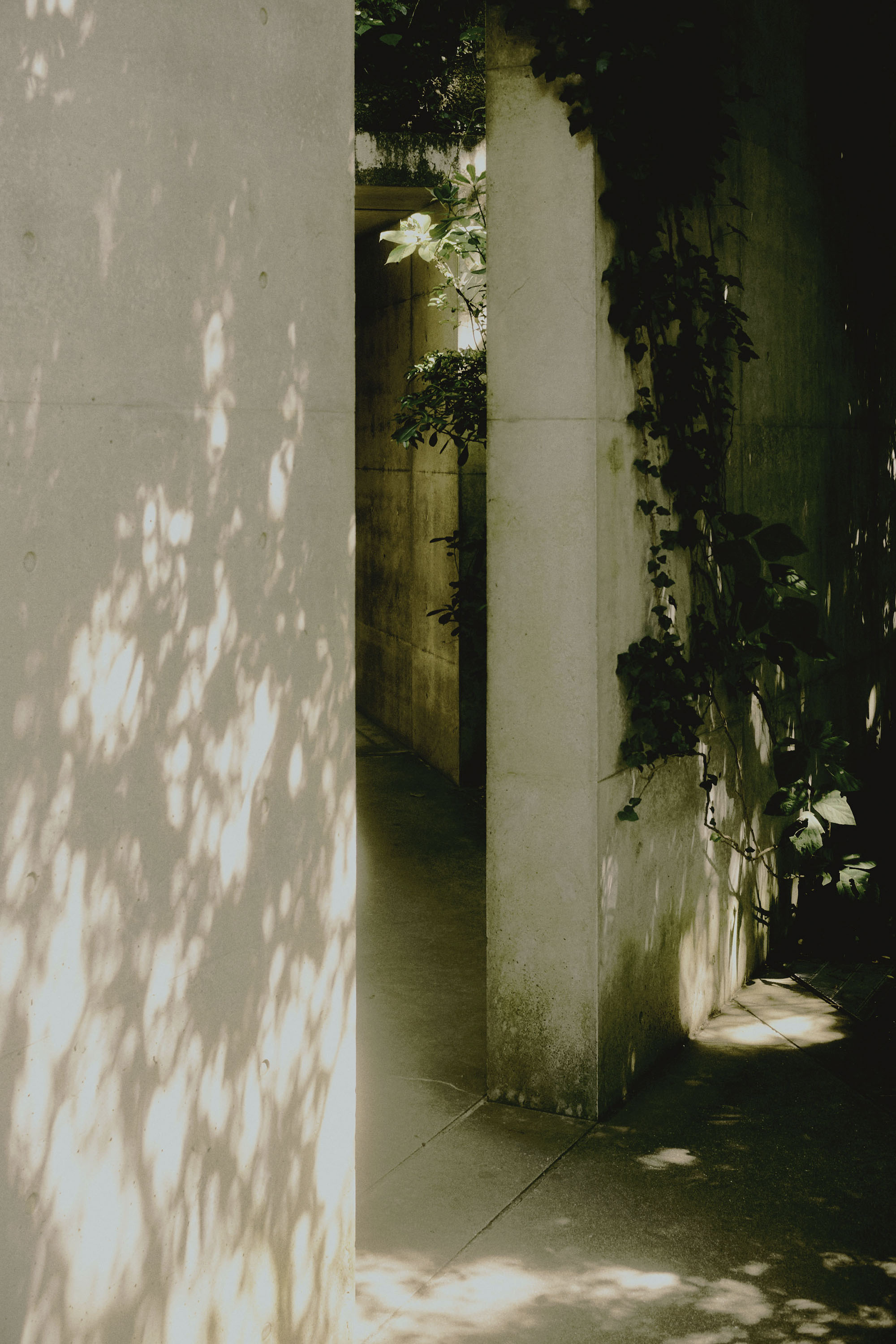 DSCF7444